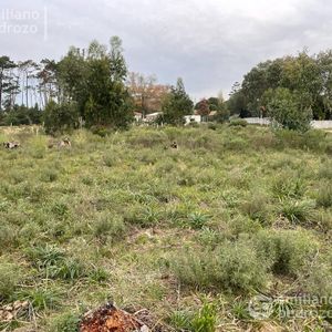 Venta Terreno Punta Del Este