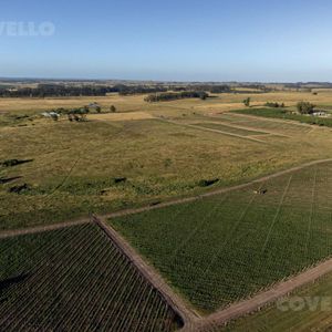 Terreno - José Ignacio