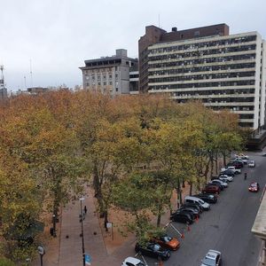 Peatonal Sarandí Con Vista A La Plaza Matriz