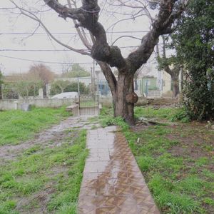 Terreno Más Casa A Reciclar En La Teja