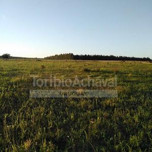 1 - Playa Matamora - 5.5 Has