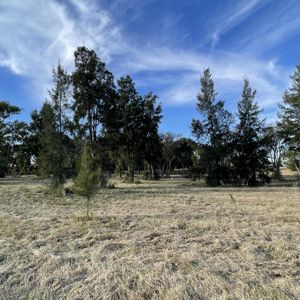 Parque Jousten - Manzana D Lote 1
