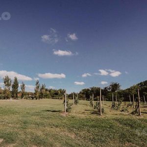 Venta Terreno - El Faro