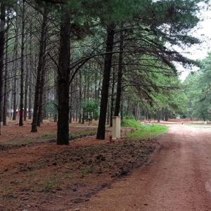 Venta Terreno - El Faro