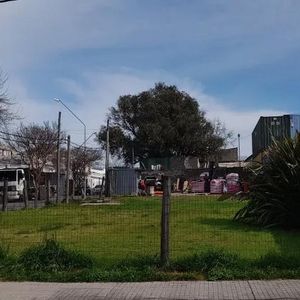 Terreno En Centro De Maldonado