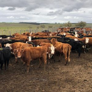 San Jose - Ruta 23, Entre Mal Abrigo E Ismael Cortinas
