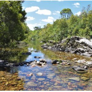 Chacra - Pueblo Edén