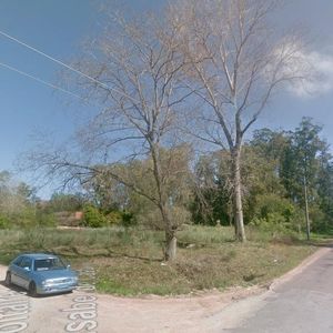 Terreno - Golf