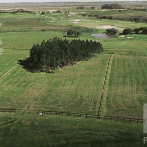 Terreno - Laguna Blanca 
