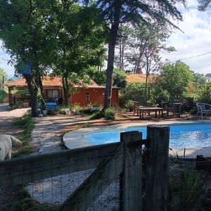2 Casas En Venta Con Gran Terreno Y Piscina - El Pinar Norte