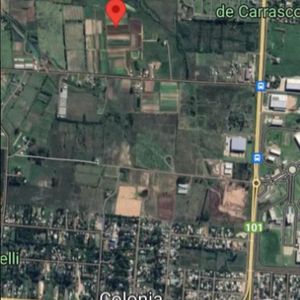 Venta Chacra En Colonia Nicolich