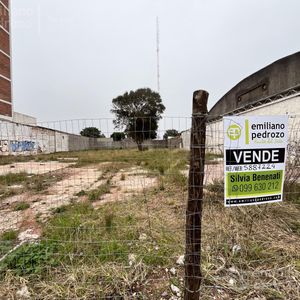 Venta Terreno 1100 Metros En Centro De Maldonado