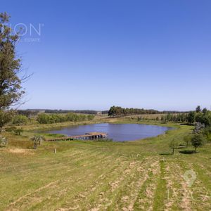 Venta Campo 75 Hectáreas Con Casa, Ruta 104