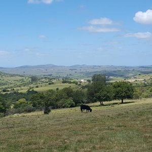 Sierra De Carapé 270ha Con Excelente Casco Histórico