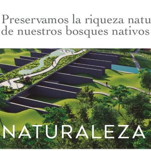 Nativo Jose Ignacio Terrenos En Venta - Tm5786092