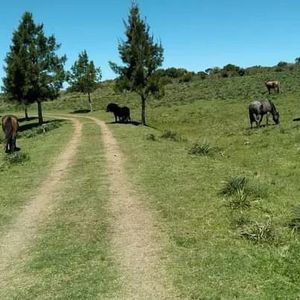 Chacra En Pan De Azúcar