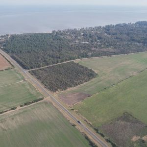 Excepcional Fracción Agrícola En Colonia