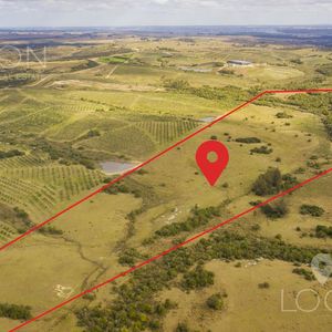 Chacra - Garzon  Cerca De Bodega Brisas 26 Has