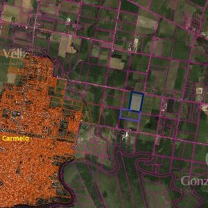 Chacra En  Carmelo Sobre Camino Las Tunas A 1,5 Km Del Nuevo Transito Pesado