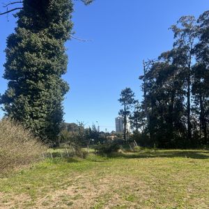 Terreno En La Residence Punta Del Este