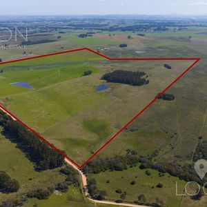Venta Campo 125 Hectáreas, José Ignacio