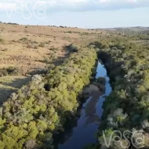 Campo En Garzon