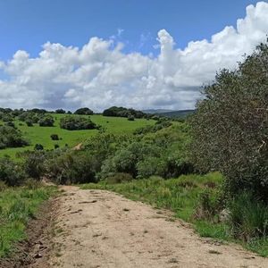 Chacra En  Las Cañas