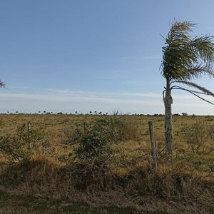 Chacra - Garzon. 12.5 Hectáreas
