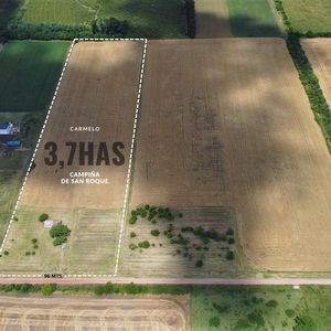 Venta - Chacra - 3.7 Hectareas - San Roque - Carmelo - Colonia 