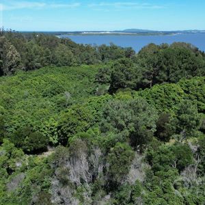 Venta Terreno Las Cumbres Punta Ballena Punta Del Este