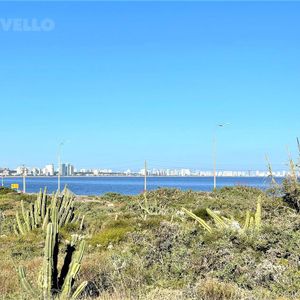 Terreno En Venta Primera Linea Del Mar  - Pinares, Playa Mansa
