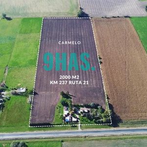 Venta - Chacra - Con Instalaciones - Carmelo