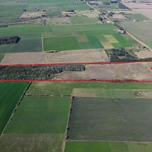 Venta - Campo - Chacra - Carmelo - Colonia Arrué
