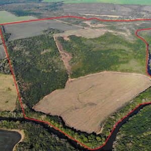 Venta - Campo - Carmelo - Zona Camino De La Muralla