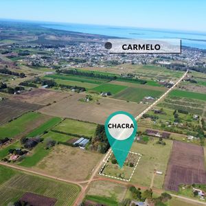 Venta - Chacra - Carmelo - Colonia Estrella