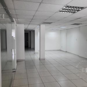 Local - San Luis