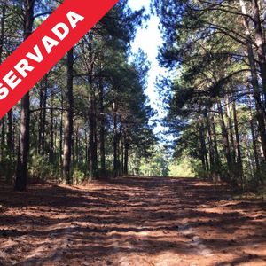 Chacra - Paraje Arazatí