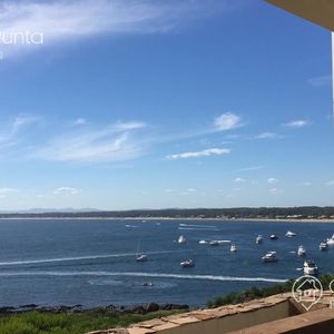 Departamento - Punta Del Este