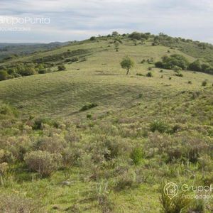 Campo De 36 Hectareas ,terreno  En Venta En  Pueblo Edén