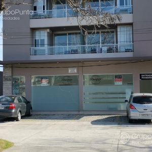 Local En Alquiler Anual -   Venta En Maldonado