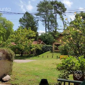 Casa - Pinares