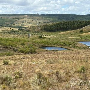 Chacras En Venta 5 Hectareas - Ruta 12 - Minas