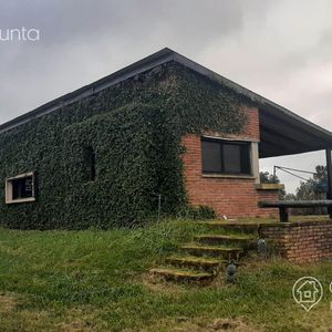 Chacra De 5 Hectáreas En Alquiler Anual