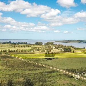 Chacra 5,94 Hectáreas - Laguna Del Sauce - Punta Ballena