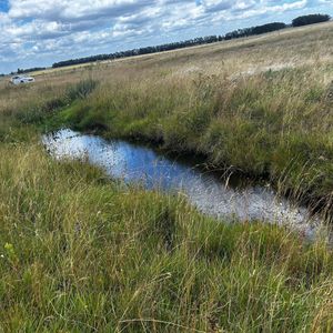 Campo En Venta - Rocha