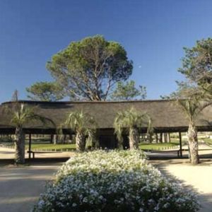Terreno En Pinar Del Faro