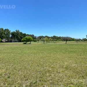 Terreno En Venta En Carmelo Golf Sector Polo