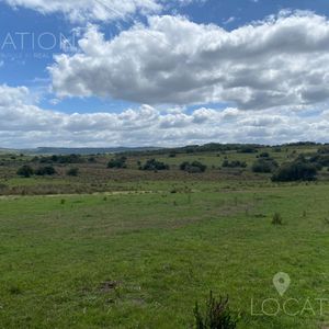 Venta Chacra En Garzon 10 Has