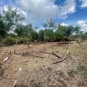 Venta Terreno En Sauce De Portezuelo