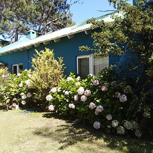 La Barra Venta Y Alquiler Casa De Verano